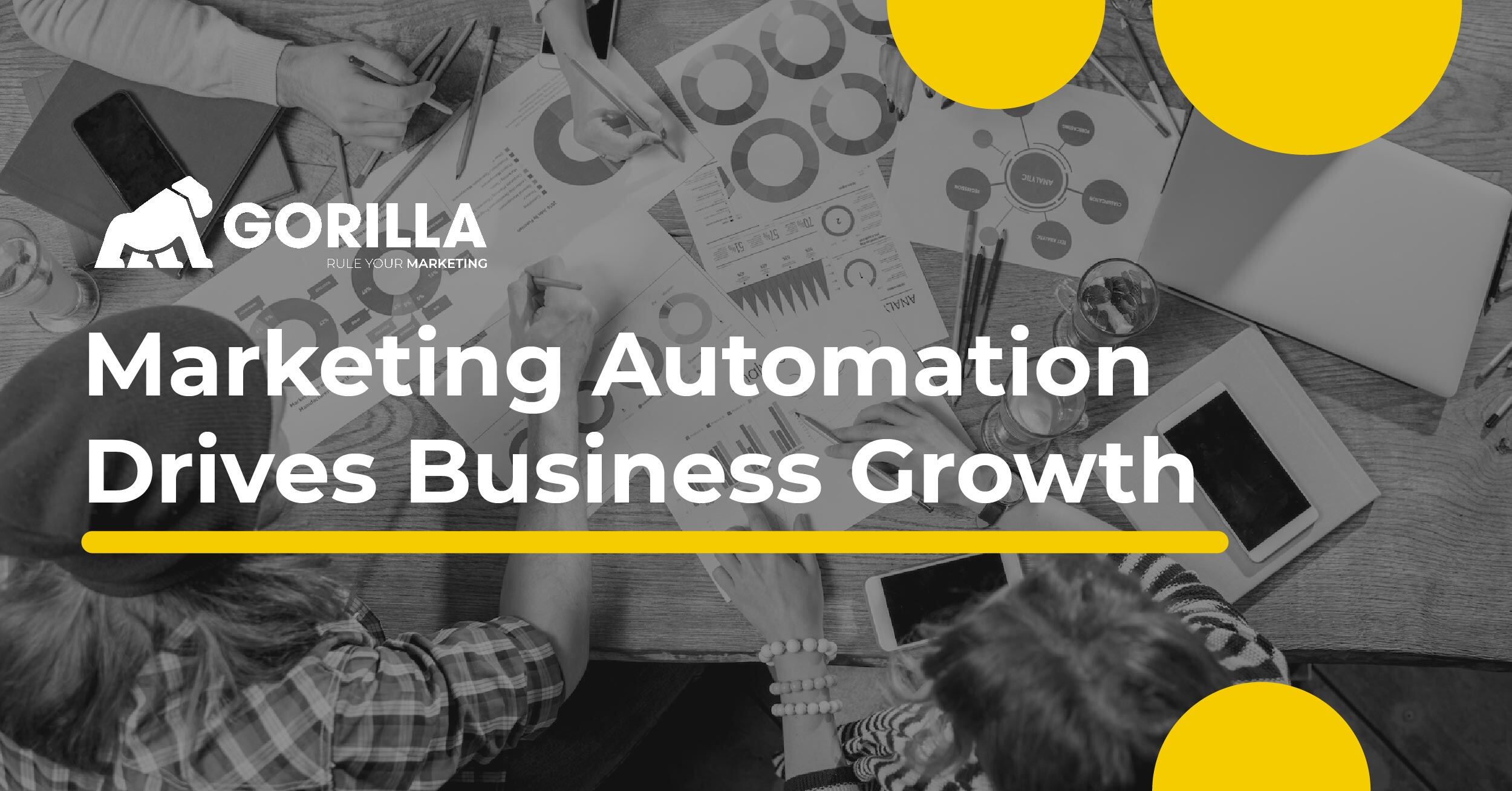 Maximizing ROI: How Advanced Marketing Automation Drives Business Growth